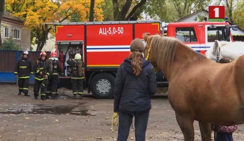 Истории спасения 09.02.2020 Истории спасения 09.02.2020