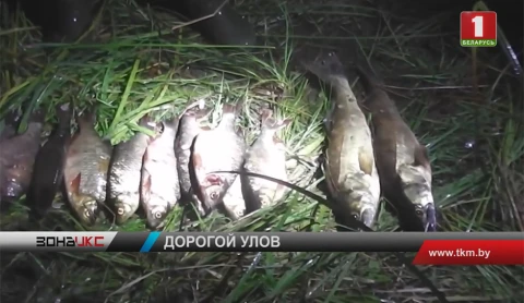 Почти 3 тысячи рублей штрафа заплатят жители Наровли за рыбалку на территории заповедника Почти 3 тысячи рублей штрафа заплатят жители Наровли за рыбалку на территории заповедника