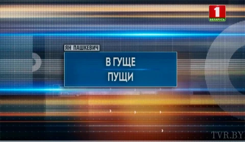 В гуще пущи В гуще пущи