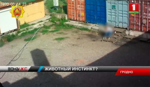 Мужчину, который издевался над котенком в Гродно, нашли Мужчину, который издевался над котенком в Гродно, нашли