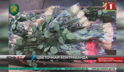 Литовский перевозчик не задекларировал 10 тысяч роз стоимостью в 9 тысяч рублей Литовский перевозчик не задекларировал 10 тысяч роз стоимостью в 9 тысяч рублей
