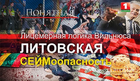 Лицемерная логика Вильнюса: литовская СЕЙМоопасность Лицемерная логика Вильнюса: литовская СЕЙМоопасность