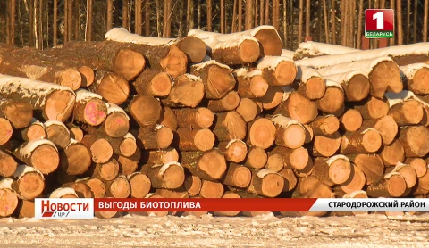 Выгоды биотоплива, азы зимней безопасности, старт возможностей, отдых с пользой, фабрика творчества Выгоды биотоплива, азы зимней безопасности, старт возможностей, отдых с пользой, фабрика творчества