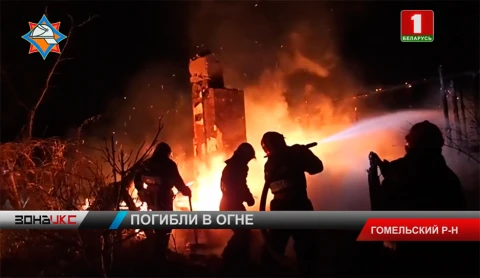 Мать и сын погибли на пожаре в Гомельском районе Мать и сын погибли на пожаре в Гомельском районе