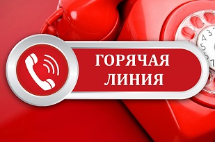 В КГК работает «Горячая линия» по мониторингу цен  