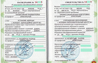 Островчанин хотел устроиться на работу и предъявил поддельный документ
