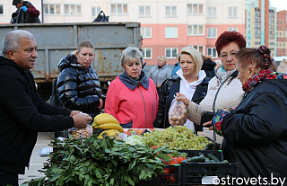 Планёрка у председателя: где купить картофель и что принёс сильный ветер