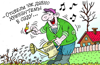 Как навести порядок на участке и не попасть в списки погорельцев, разъясняют спасатели