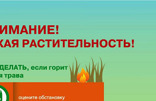 МЧС предупреждает: выжигать сухую траву запрещено