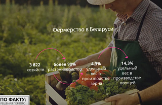 Число фермеров в Беларуси продолжает расти, но какой их удельный вес в сельхозпроизводстве?