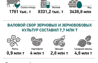 Производство сельскохозяйственной продукции в Беларуси (инфографика)