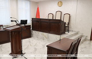 Водитель микроавтобуса в Островецком районе сбил женщину, суд вынес приговор