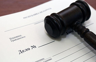 Возбуждено уголовное дело в отношении представителей «Народных посольств» и «Белорусов зарубежья»