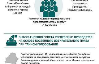 Выборы в Совет Республики (инфорграфика)