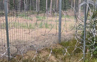 Лось погиб от латвийской "колючки" на границе с Беларусью