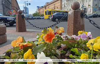 Беларусь с начала года посетили без виз почти 127 тыс. жителей ЕС