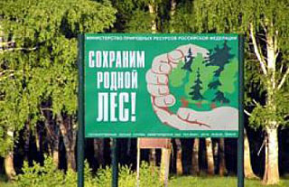 Граница дозволенного Островецких дачников
