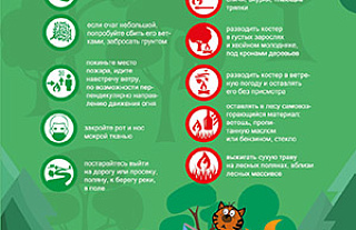 Чтобы не стать жертвой огня