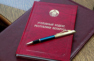 Молодая пара из Гомеля задержана за видеоролики «18+»