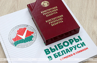 Сбор подписей за выдвижение в кандидаты в Президенты Беларуси начнется 7 ноября