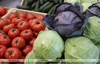 Минсельхозпрод: объемы производства сельхозпродукции в Беларуси превышают потребности торговли