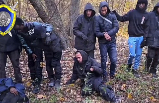 В Гродненском районе вблизи с границей Польши обнаружены 15 избитых беженцев