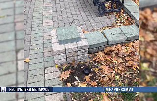 Оборудовал тайники. Оптового наркокурьера из Бреста с поличным задержали в Гомеле