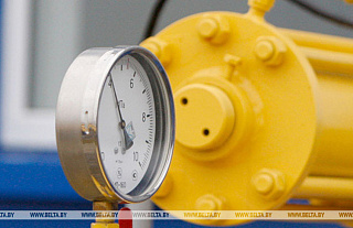 Уровень обеспеченности природным газом в сельской местности в Беларуси преодолел отметку в 50%