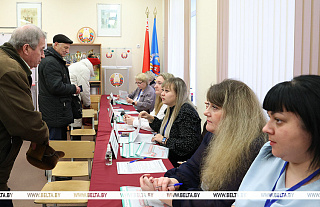 Явка избирателей на 14.00 на выборах Президента Беларуси составила 66,41%