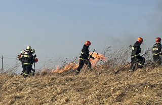 Два пала ликвидировали островецкие спасатели 11 марта
