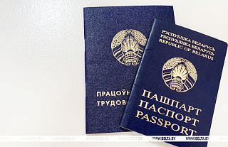 Кого ищут наниматели на рынке труда Беларуси, рассказала Наталия Павлюченко