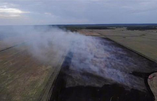 Спасатели работают на месте торфяного пожара в Кореличском районе