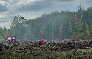 Из-за аномально сухой погоды в Гродненской области сохраняется высокая пожарная опасность