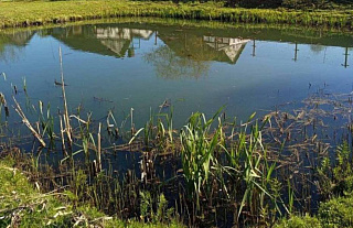 В Островце в искусственном водоёме утонул человек