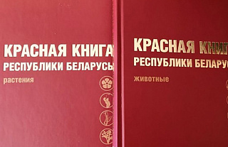 В Красную книгу Беларуси добавлены 13 видов животных и 5 видов растений