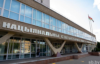 В Белстате рассказали, какие сферы деятельности наиболее популярны у белорусского бизнеса