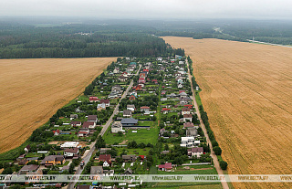 В Беларуси работают над внедрением агродронов в промышленных масштабах