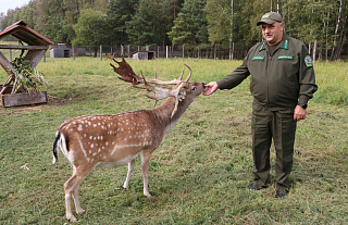 Нагрудны знак «Ганаровы лесавод» атрымаў вядучы інжынер па паляўнічай гаспадарцы Віктар Урбановіч