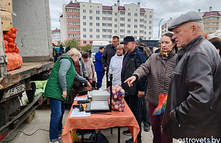 Утро. А ярмарка в Островце уже в разгаре