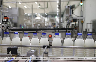 Сколько сельхозпродукции произвели в Беларуси за январь-сентябрь этого года, рассказали в Белстате