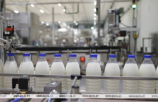 В Беларуси в январе-октябре произвели сельхозпродукции на Br35,8 млрд