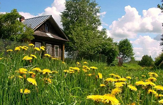 В Беларуси платят за переезд в деревню: кому и сколько?