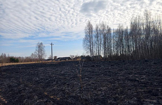 В Кемелишках горела сухая растительность