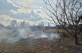 Палы: что делать, если увидели горящую траву