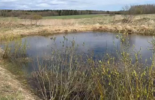 Маленькая девочка упала в пруд в Вороновском районе