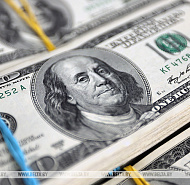 Физлица в Беларуси с начала года продали на $953,2 млн валюты больше, чем купили