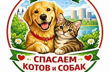 Как «Лапа Добра» помогает бездомным животным Островетчины