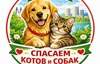 Как «Лапа Добра» помогает бездомным животным Островетчины