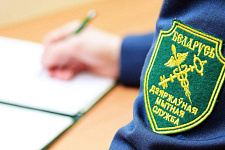 ГТК: в классификаторы для заполнения таможенных документов с 5 июля вносятся изменения 