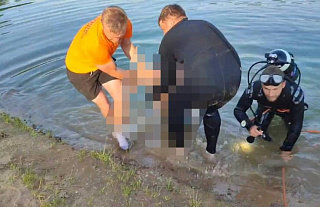 В карьере вблизи деревни Поракити утонул человек